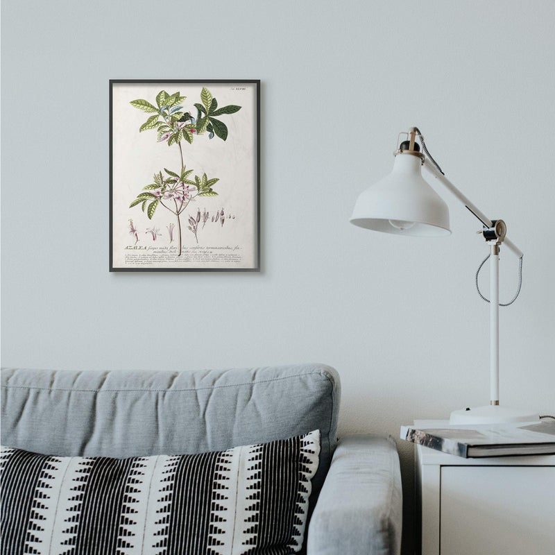Stupell Industries Botanical Plant Illustration Pink Flowers Vintage Design Black Framed Wall Art, Multi-Color, Model: fap-214_fr_16x20 - Image 2